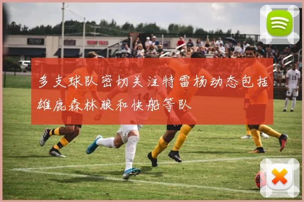 多支球队密切关注特雷杨动态包括雄鹿森林狼和快船等队
